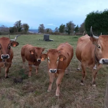 Casa Con En El Casero * 오비에도